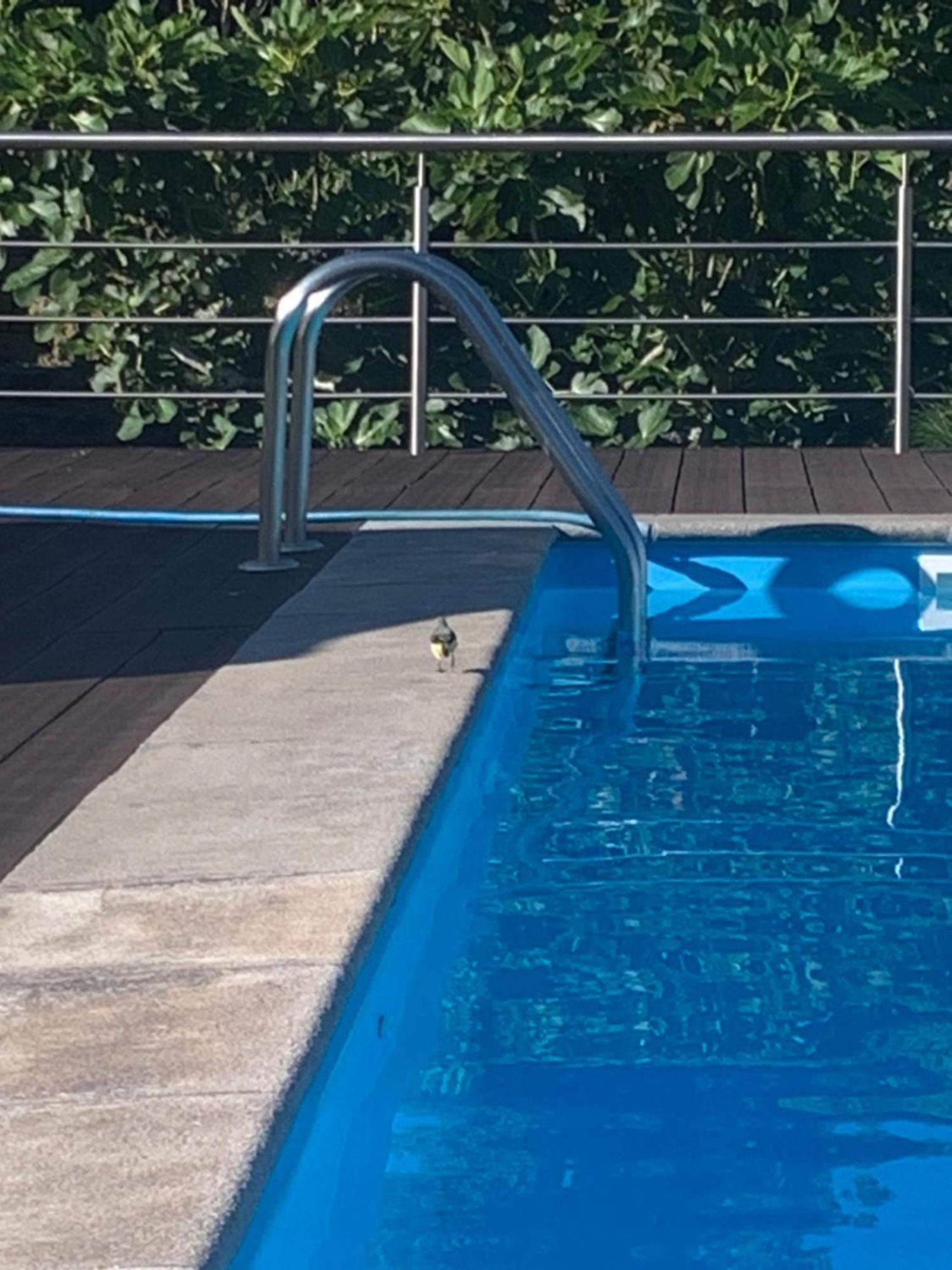 Quinta De Santo Antonio Fonte do Bustardo